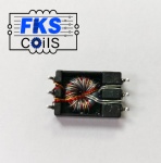 FKS-CoilS PPTI Push-Pull Transformers FKS750316888