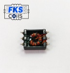 FKS-CoilS PPTI Push-Pull Transformers FKS750316029