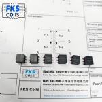 FKS-CoilS PPTI Push-Pull Transformers FKS750313769